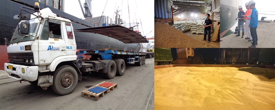 Cargo and Bulk Survey